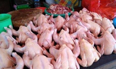 Jangan Tertipu di Pasar, Ini Cara Memilih Ayam Segar untuk Sahur dan Buka Puasa