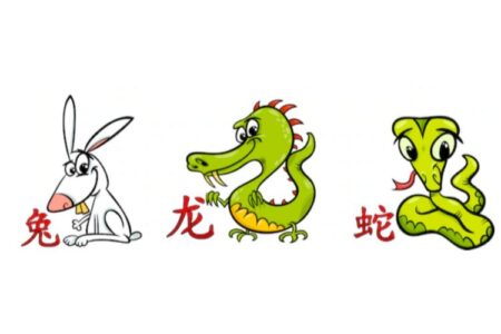 Ramalan Shio Minggu 15 Februari 2026: Kelinci Bijak, Naga Harmonis, Ular Tenang