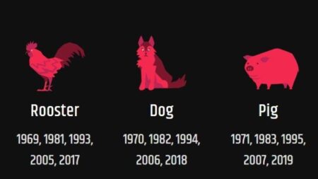 Jangan Lengah! Shio Ayam, Anjing, dan Babi Menghadapi Ujian 2026: Karakter dan Stabilitas Hidup Diuji