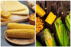 Trik WhatsApp 2026: Chat Cepat dan Rapi, Hemat Kuota Internet