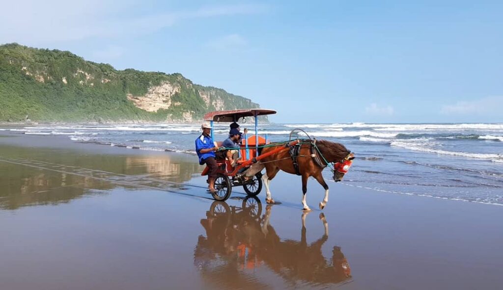 Pansela Bantul Usulkan Tarif Retribusi Rp5.000 Per Wisata Pantai