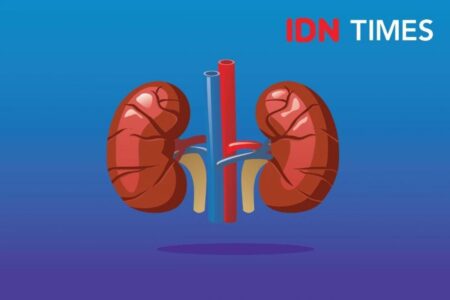 Waspada! 10 Tanda Kanker Ginjal yang Sering Diabaikan