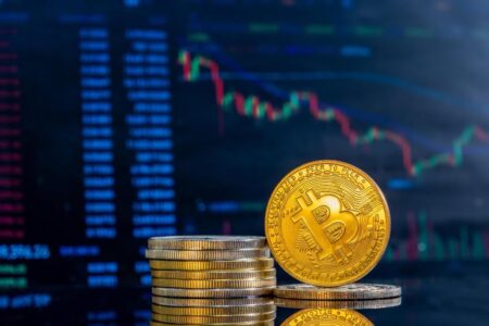 Pemilik Bitcoin Terbanyak di Dunia 2026, Dari Negara Hingga Individu
