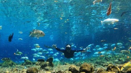 Rekomendasi wisata Klaten libur Lebaran 2026: Umbul Kapilaler hingga Rowo Jombor