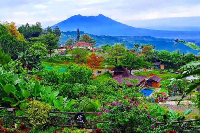 8 kafe alam dekat Sentul dengan nuansa sungai sejuk