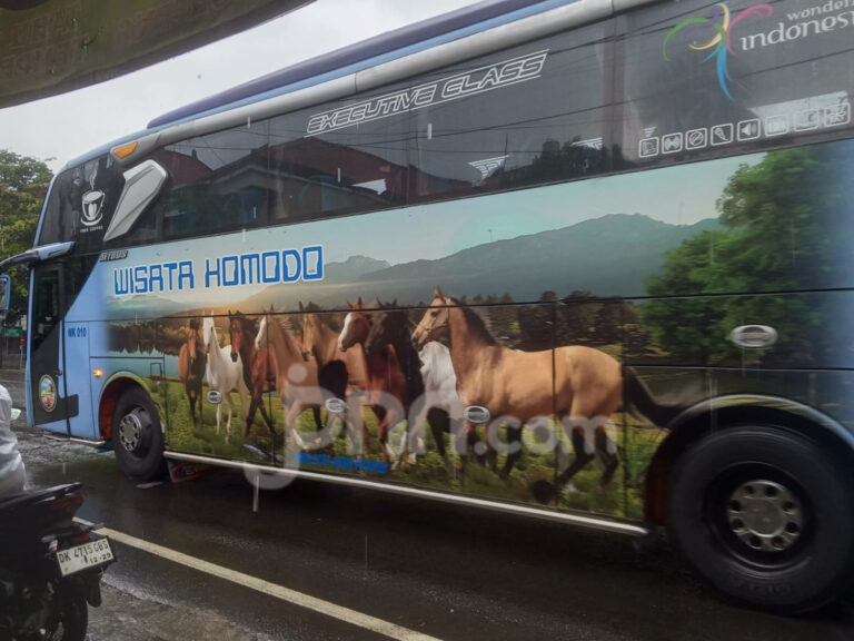 Jadwal dan harga tiket bus AKAP Bali ke Jawa Senin (2/3), cek sekarang!