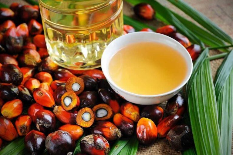 CORE dorong pemerintah manfaatkan IEU-CEPA hadapi aturan EUDR