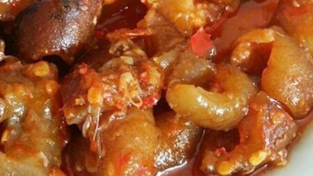 5 Makanan Pedas Khas Solo yang Wajib Dicoba Saat Mudik Lebaran 2026