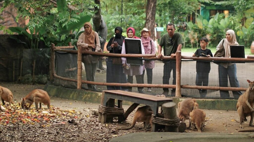 Petualangan Malam di Safari, Tiket Solo Safari Mulai 21 Maret 2026