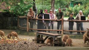 Petualangan Malam di Safari, Tiket Solo Safari Mulai 21 Maret 2026