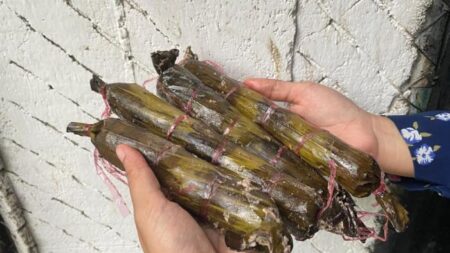 Lamang Bakujuik, Sajian Khas Lebaran Batipuh