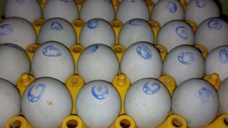 Telur Asin – Rasa Laut yang Mantap