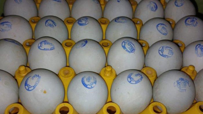 Telur Asin – Rasa Laut yang Mantap