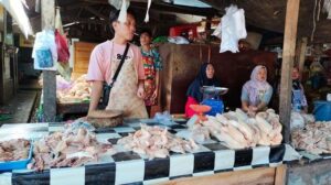 Harga ayam dan cabai turun di Musi Rawas, 8 Maret 2026
