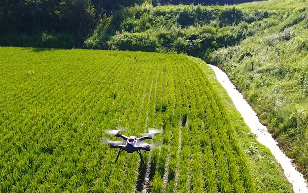 Penggunaan Drone dalam Pertanian, Kadis Bangka Selatan: Efisiensi 85-90 Persen