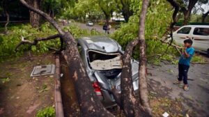 Hujan deras dan angin kencang porak poranda Kota Kediri, 18 pohon tumbang dan warung roboh