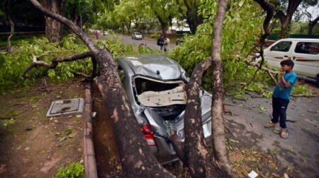 Hujan deras dan angin kencang porak poranda Kota Kediri, 18 pohon tumbang dan warung roboh