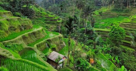 7 Alasan Ubud Jadi Surga Romantis untuk Bulan Madu di Bali
