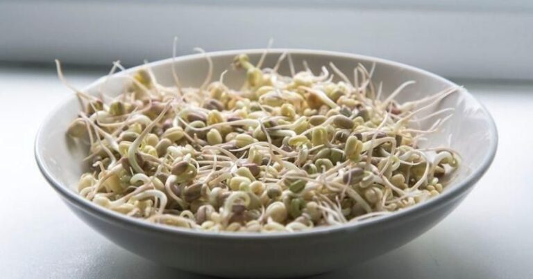 6 Sayuran yang Tidak Tahan Lama di Kulkas