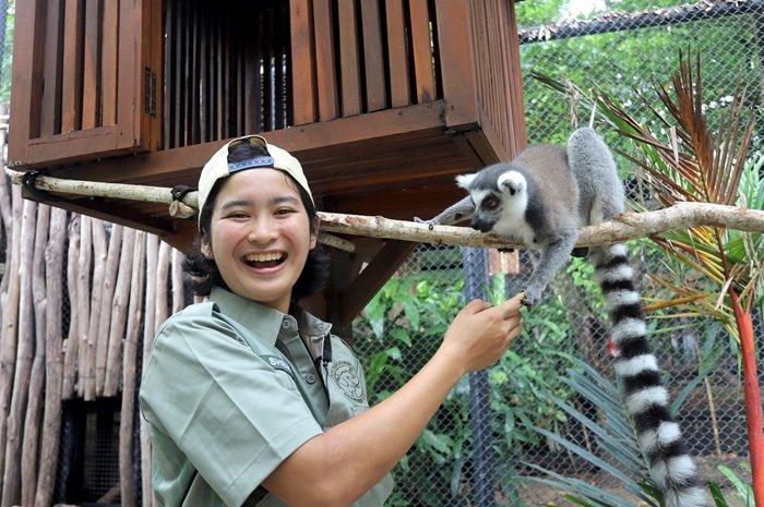 Itinerary Taman Safari Gembira Loka, Mulai dari Solo dengan Budget Rp 180 Ribu