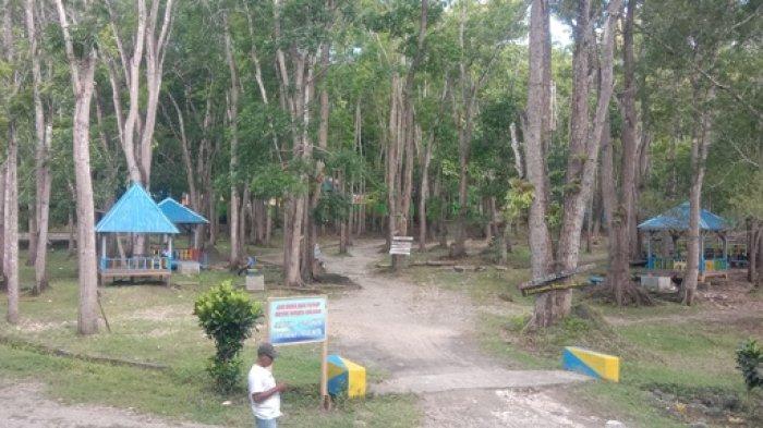 Pesona Oeluan: Spot Healing di Hutan Alami