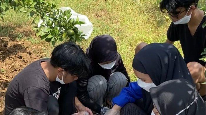 Koperasi Desa Merah Putih Beli 4 Kuintal Jeruk Petani Dau Malang untuk Program MBG