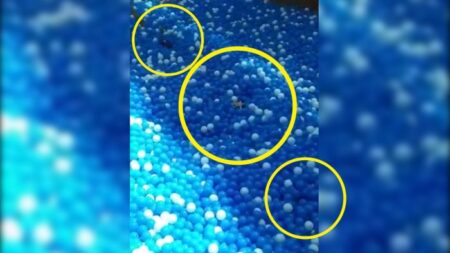 Mikutopia Kota Batu Dibuat Heboh: Kematian Pengunjung, Wahana Rusak, dan Izin AMDAL Disorot