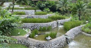 Liburan Seru dan Edukatif di Taman Burung Singapura