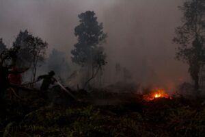 Sumatra Kembali Memanas, Karhutla 2019 Terulang Lagi?