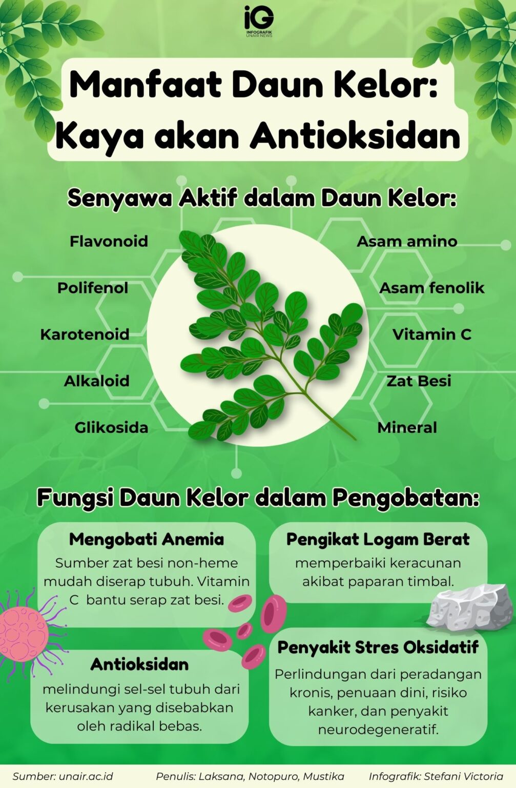 Manfaat Luar Biasa Kebun Sekolah yang Belum Diketahui Banyak Orang Tua