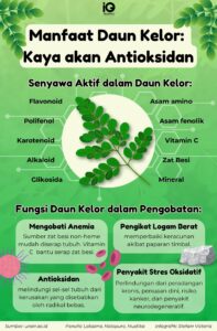 Manfaat Luar Biasa Kebun Sekolah yang Belum Diketahui Banyak Orang Tua