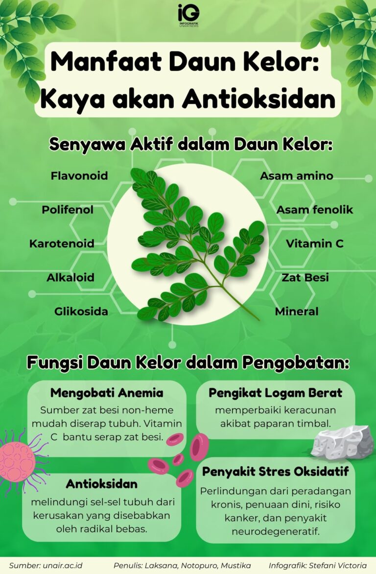 Manfaat Luar Biasa Kebun Sekolah yang Belum Diketahui Banyak Orang Tua