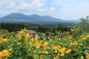 Cuaca Malang-Kota Batu Hari Ini: Udara Kabur, Suhu Terdingin 16°C