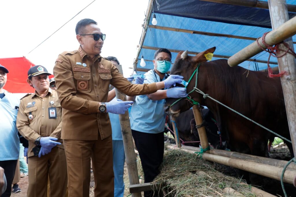 Jelang Idul Adha, Walikota Wahyu Pastikan Hewan Kurban telah Melalui Pemeriksaan Kesehatan
