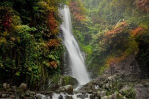 7 Wisata Alam Karawang untuk Healing Keluarga