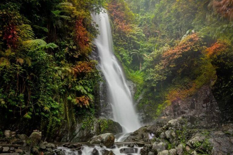 7 Wisata Alam Karawang untuk Healing Keluarga