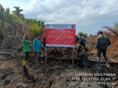 Kemenhut Tutup Wilayah Kebakaran Hutan di Sumsel, Beri Peringatan pada Pemegang Konsesi