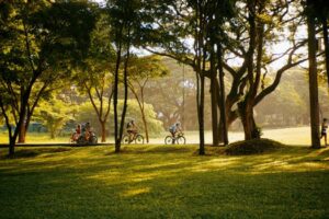 Menjaga Keseimbangan Layar dan Lapangan Demi Tumbuh Kembang Anak yang Optimal Menjaga Keseimbangan Layar dan Lapangan Demi Tumbuh Kembang Anak yang Optimal