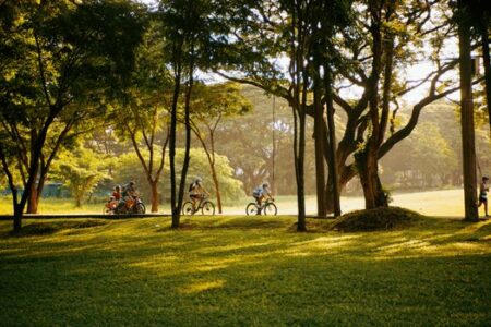 Menjaga Keseimbangan Layar dan Lapangan Demi Tumbuh Kembang Anak yang Optimal
