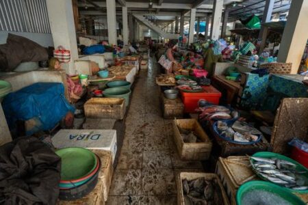Panduan Cerdas Memilih Bahan Makanan Segar di Pasar Tradisional untuk Masakan Lezat Panduan Cerdas Memilih Bahan Makanan Segar di Pasar Tradisional untuk Masakan Lezat